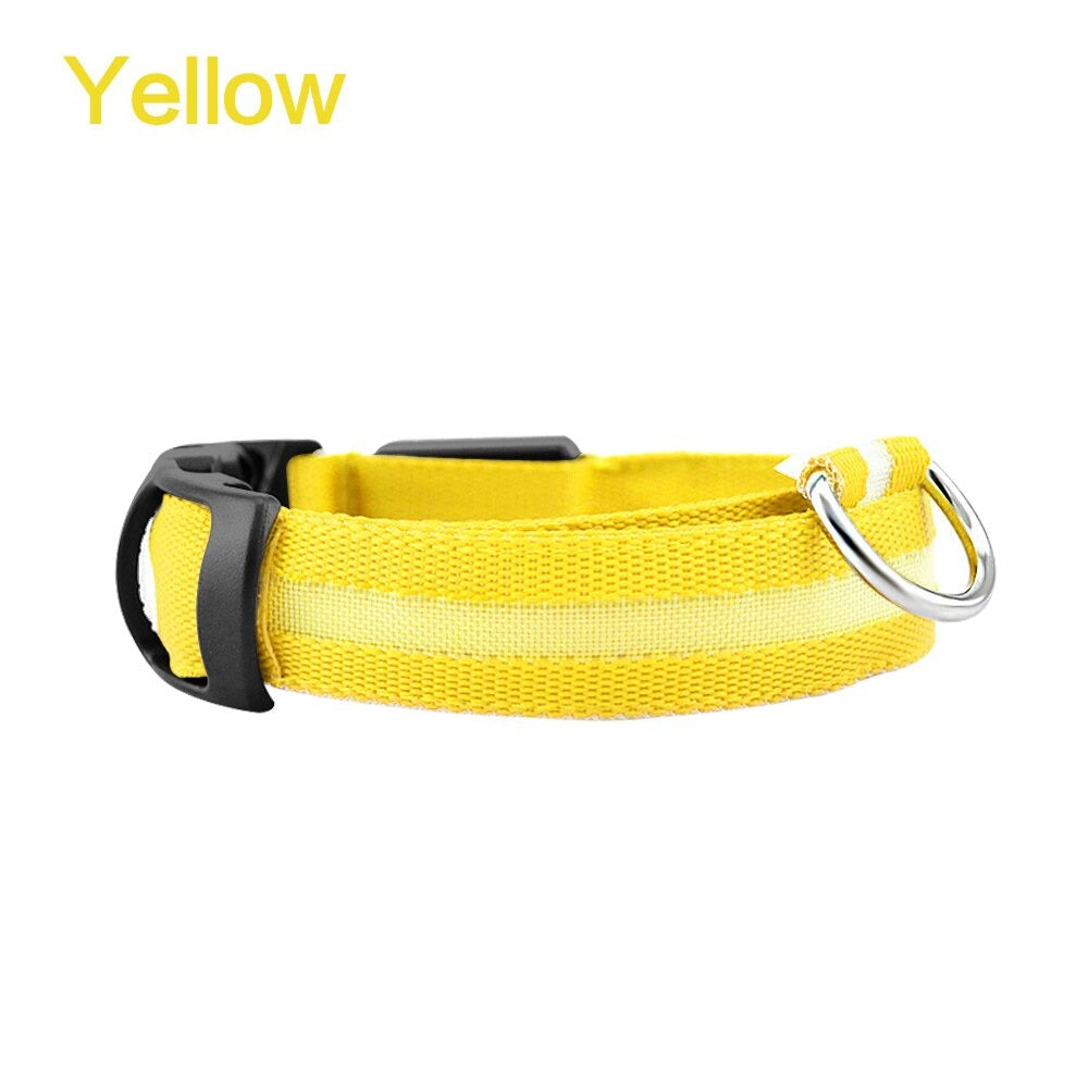 LED Dog Safety Collar – Night Glow